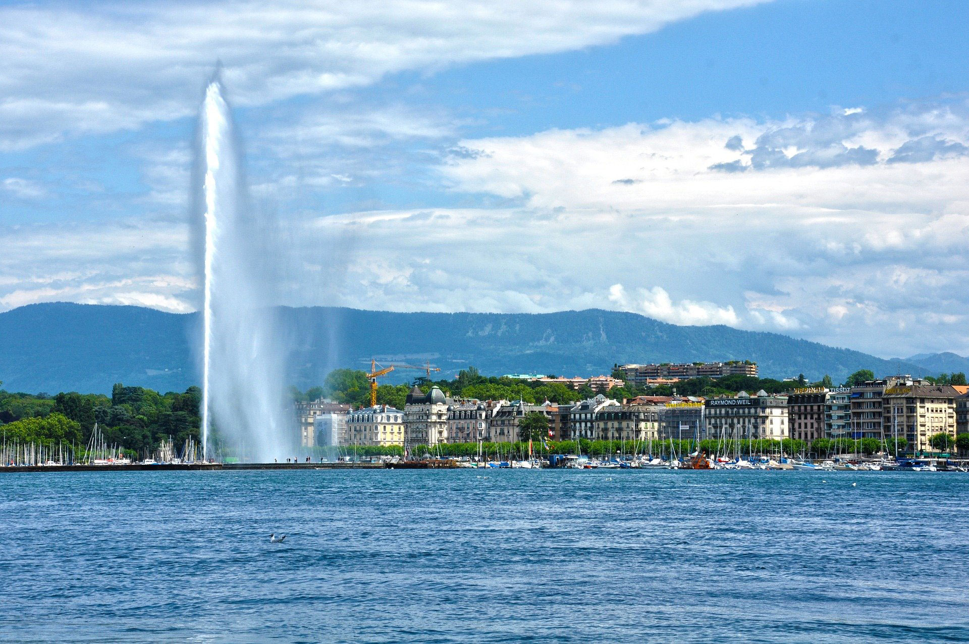 Training room and seminar hotel in Geneva