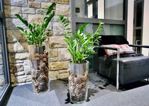 Elite Alpine Lodge