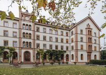 ODELYA