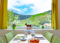 Hotel Vallatscha