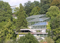 Botanischer Garten der Universität Bern