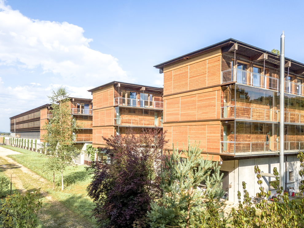 Bildungszentrum Wald Lyss