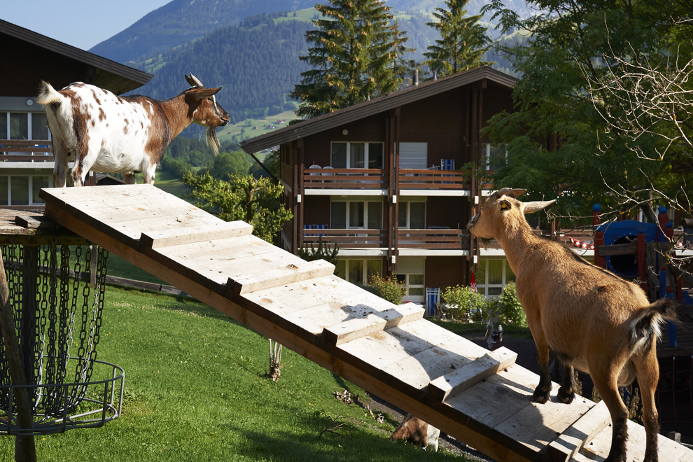 Reka-Feriendorf Lenk