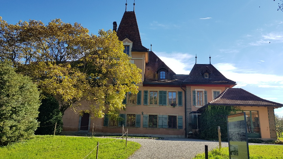 Von Rütte-Gut