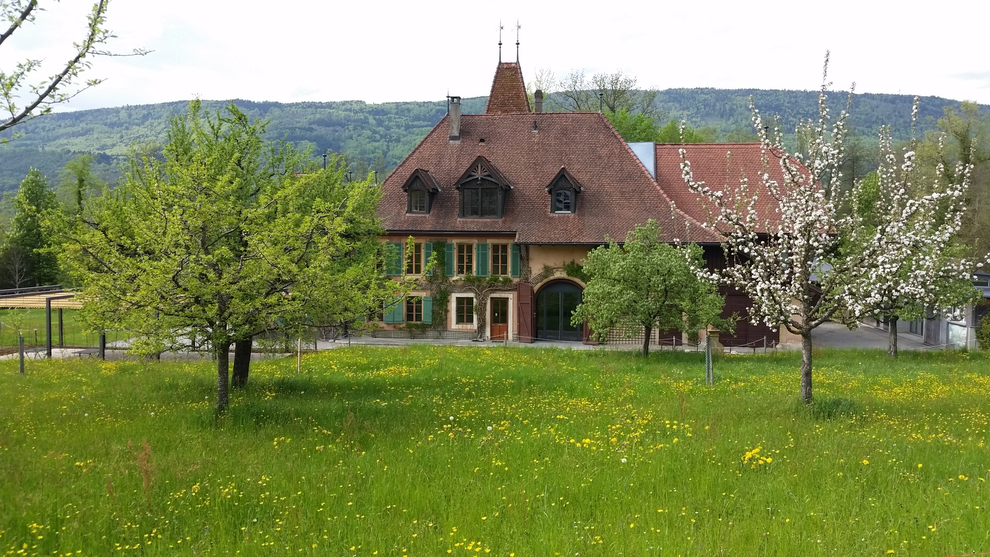 Von Rütte-Gut