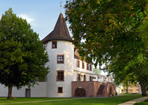 Schloss Binningen