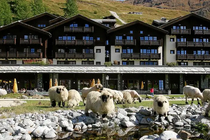 Riffelalp Resort 2222 m
